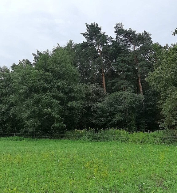 Działka na sprzedaż - Widok 2