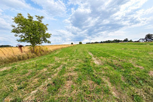 Działka na sprzedaż, 2361 m², Skała Rzeplin