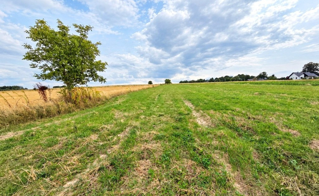 Działka na sprzedaż - Widok 2