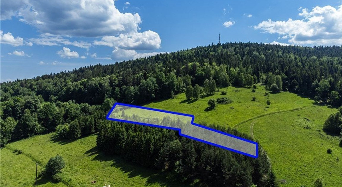 Działka na sprzedaż - Widok 2