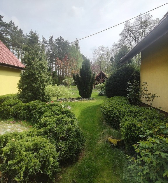 Dom – Police - Widok 2