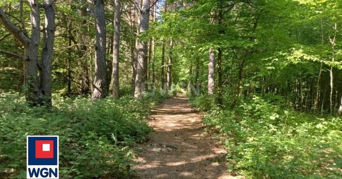 Działka na sprzedaż - Widok 2