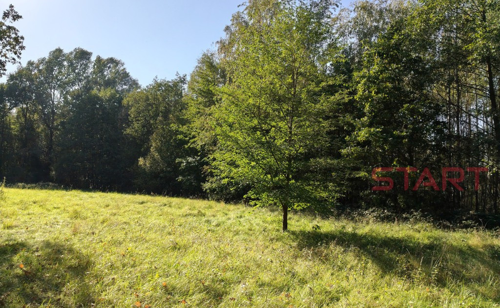 Działka na sprzedaż - Widok 2