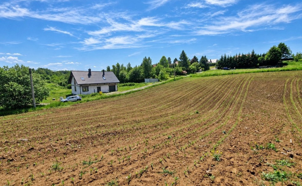 Działka na sprzedaż - Widok 2