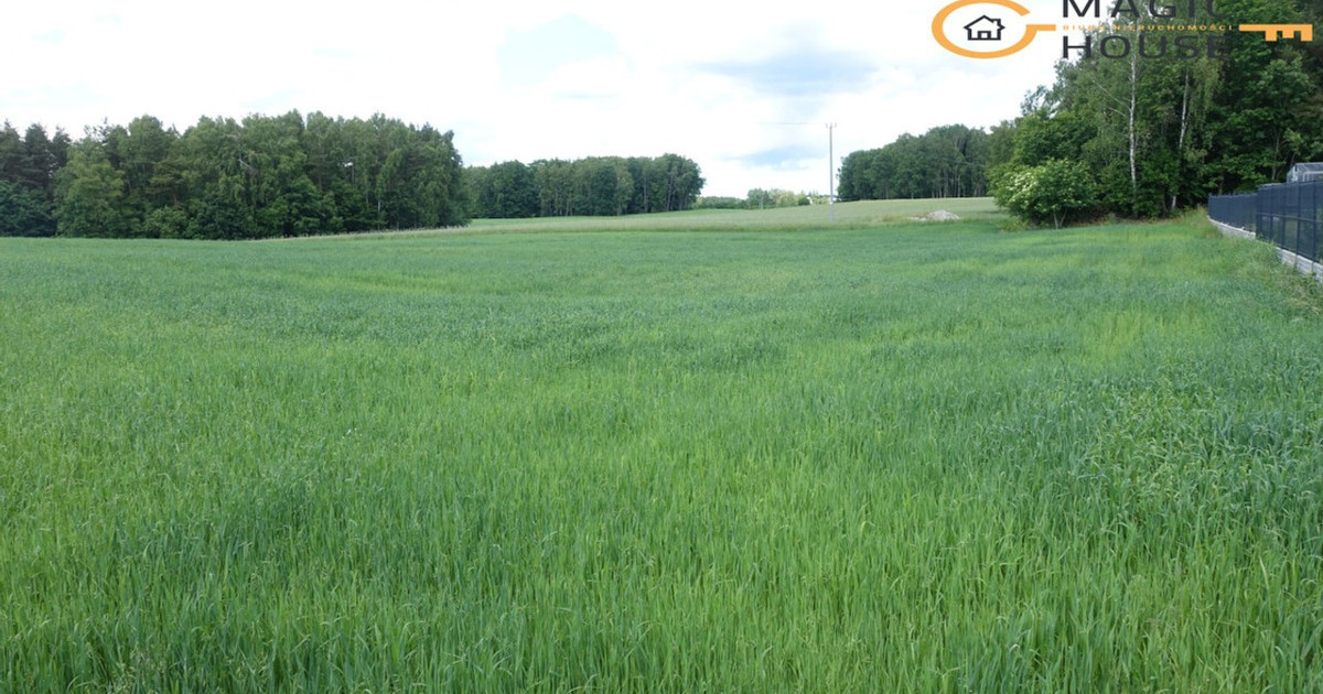 Działka na sprzedaż - Widok 2