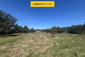Piękna działka w Mitrędze- zamieszkaj na Jurze! 13 738 m² 510 000 zł Rokicka, Mitręga, Łazy, zawierciański, śląskie