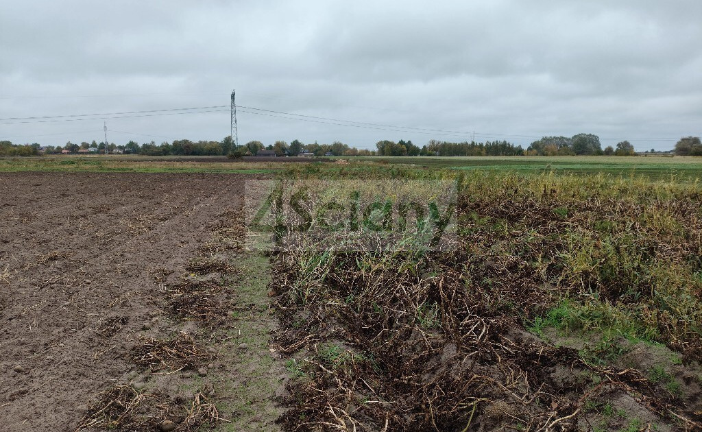 Działka na sprzedaż - Widok 2