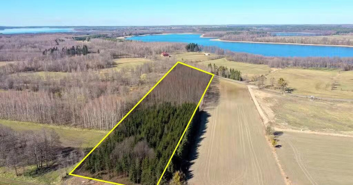 Działka Leśna 2 ha w m. Harsz gm Pozezdrze 20 200 m² 249 000 zł Harsz, Pozezdrze, węgorzewski, warmińsko-mazurskie - View 2