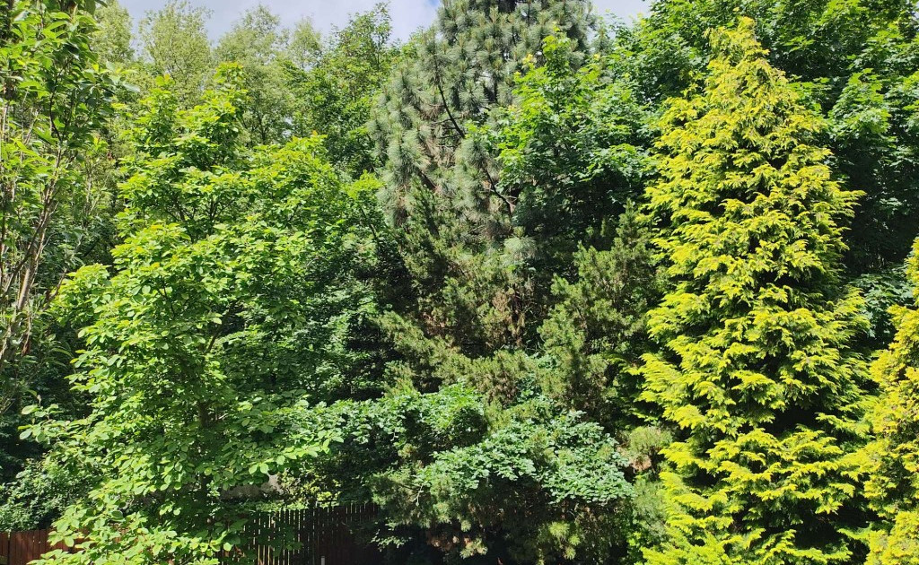 Mieszkanie – Wełnowiec-Józefowiec - Widok 2