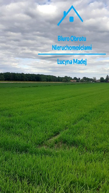 Działka na sprzedaż - Widok 2