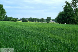 Działka na sprzedaż, 4500 m², Dalików Dalików