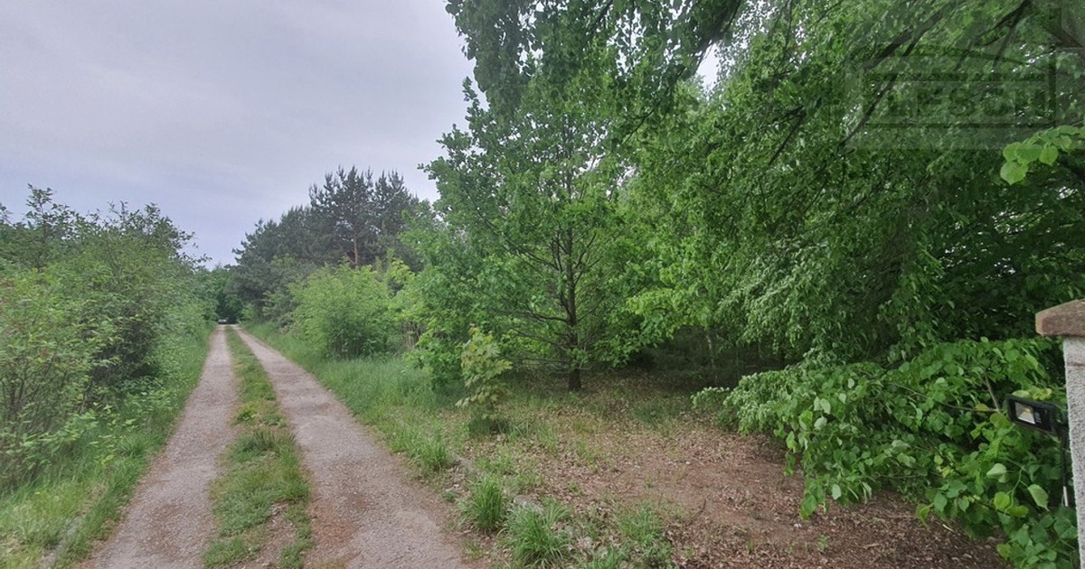 Działka na sprzedaż - Widok 2