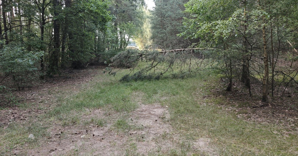 Działka na sprzedaż - Widok 2