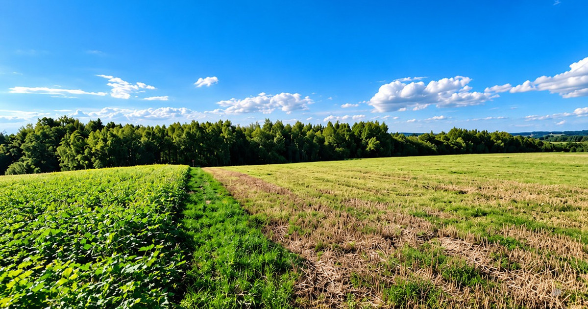 Działka na sprzedaż - Widok 2