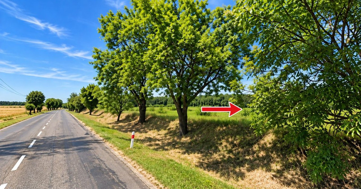 Działka na sprzedaż - Widok 2