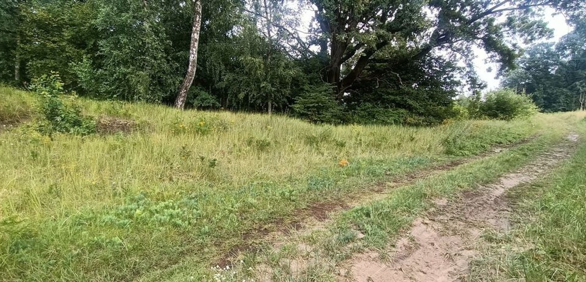 Działka na sprzedaż - Widok 2