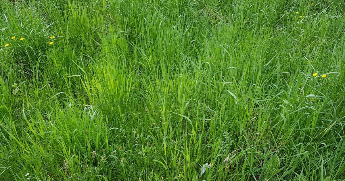 Działka na sprzedaż - Widok 2