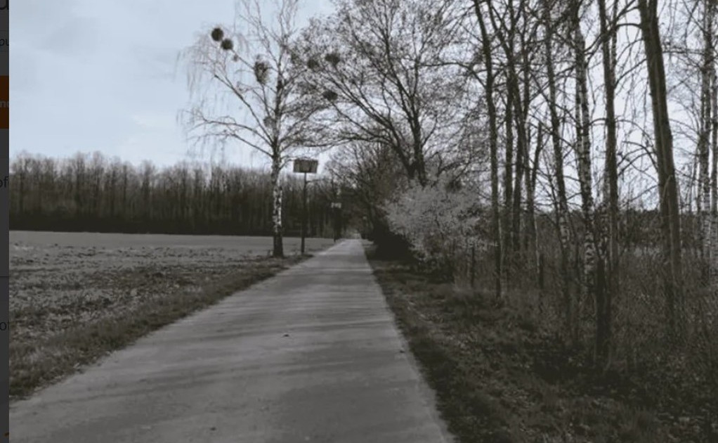 Działka na sprzedaż - Widok 2