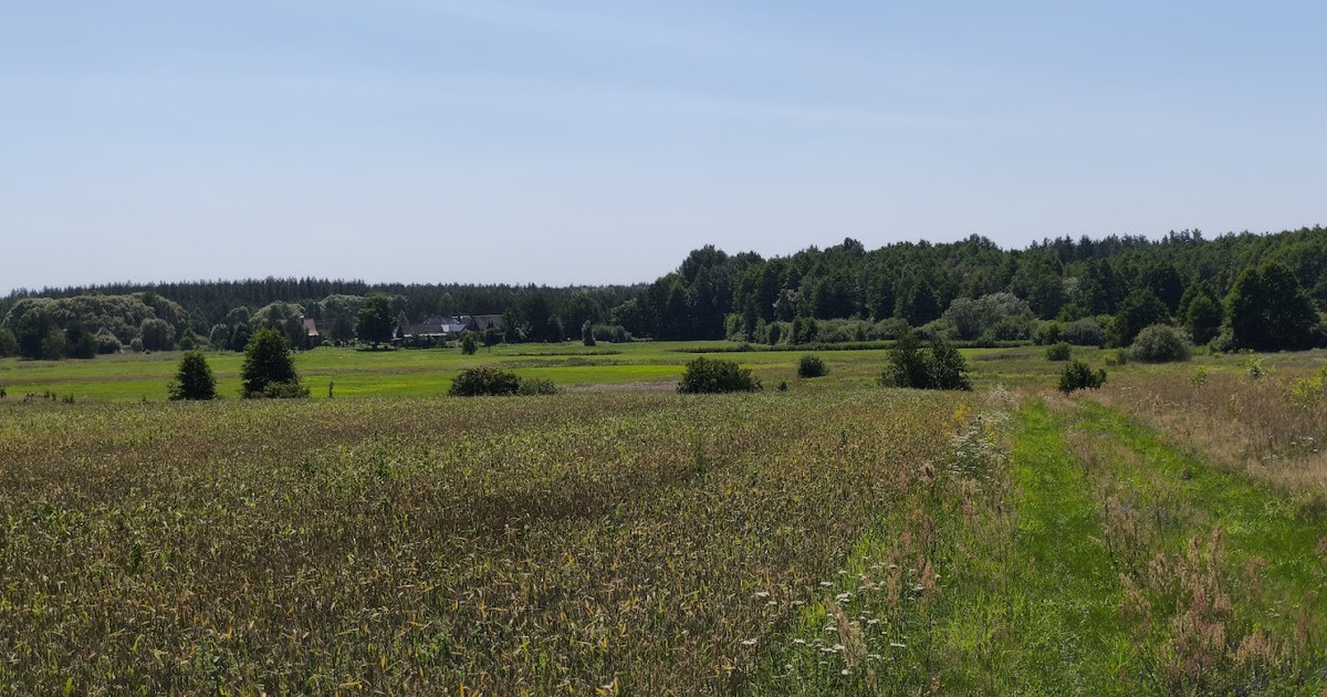 Działka na sprzedaż - Widok 2