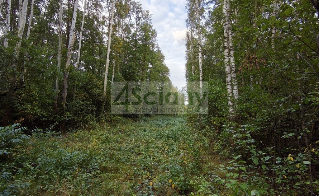 Działka na sprzedaż - Widok 2
