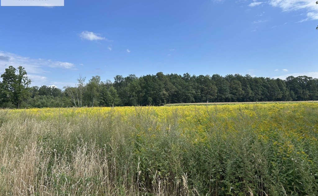 Działka na sprzedaż - Widok 2