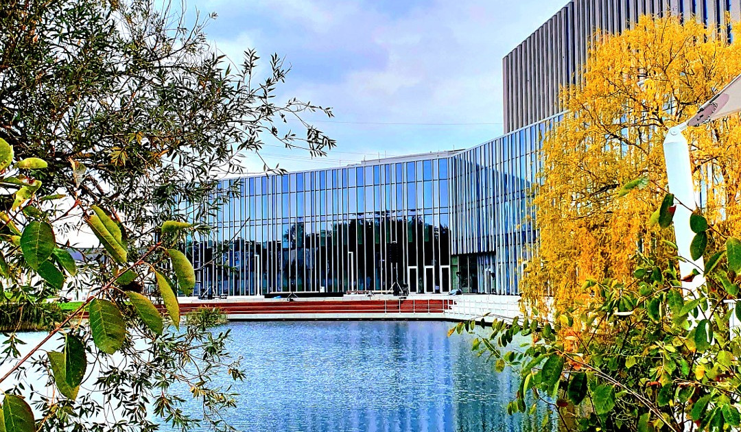 Mieszkanie – Centrum - Widok 2