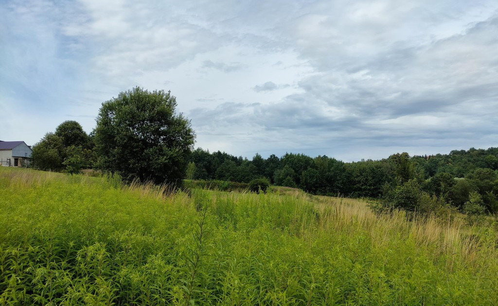 Działka na sprzedaż - Widok 2