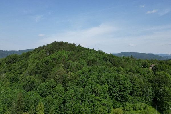 Zeme, 931 m²