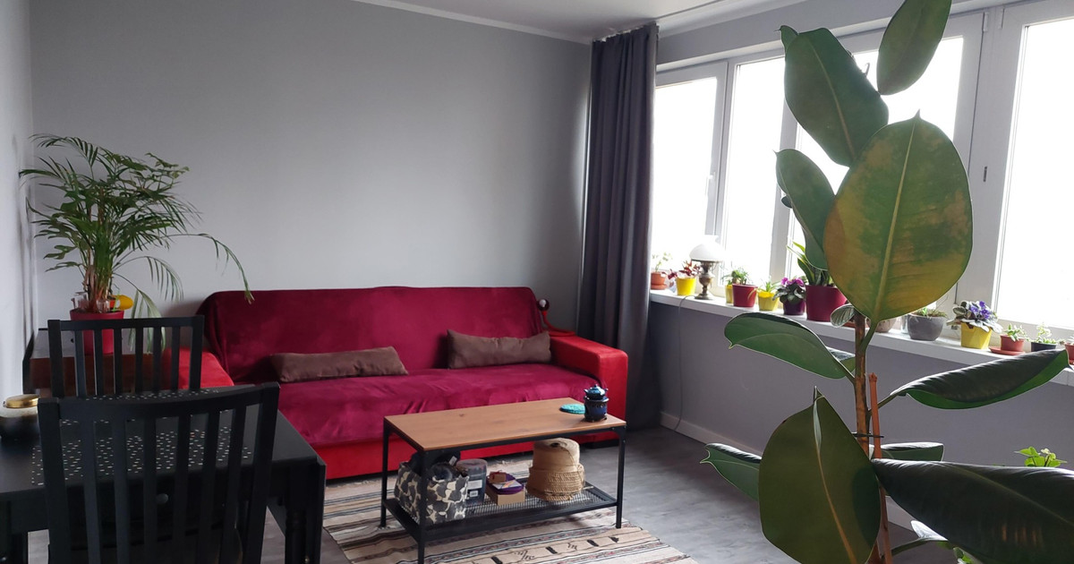 Apartment in Centrum - Widok 2