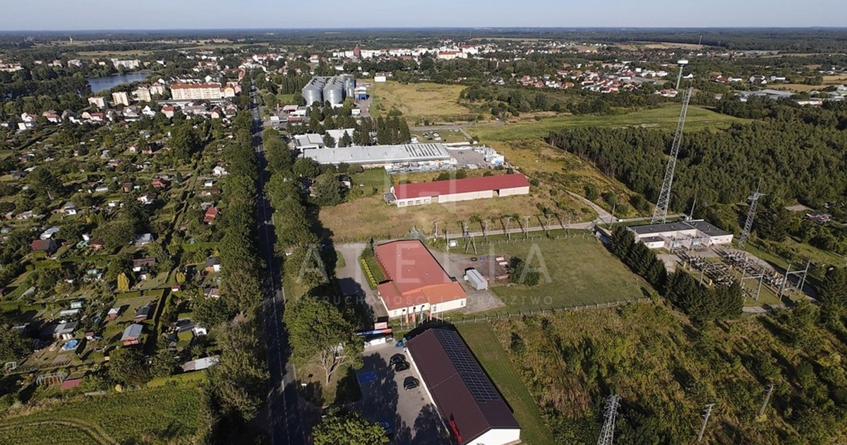 Hala, magazyn na sprzedaż - Widok 2