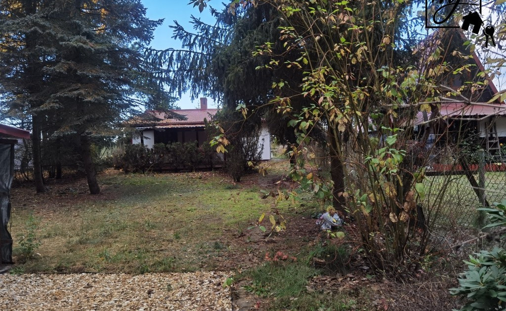 House in Dąbrówka - View 2