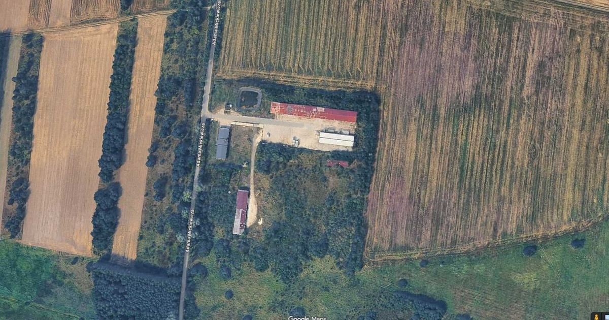 Hala, magazyn na sprzedaż - Widok 2