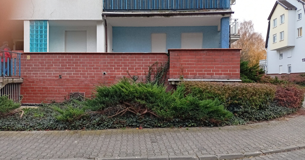 Mieszkanie – Poznań, Akademiki PP/ AWF, Rataje - Widok 2