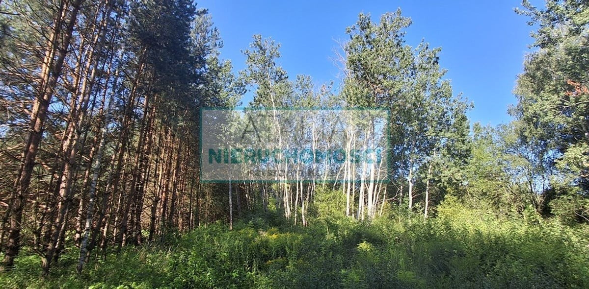 Działka na sprzedaż - Widok 2