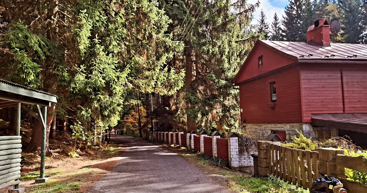 Dom – Szczytna - Widok 2