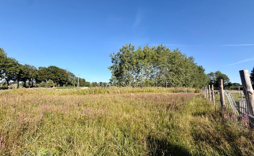 Działka na sprzedaż - Widok 2