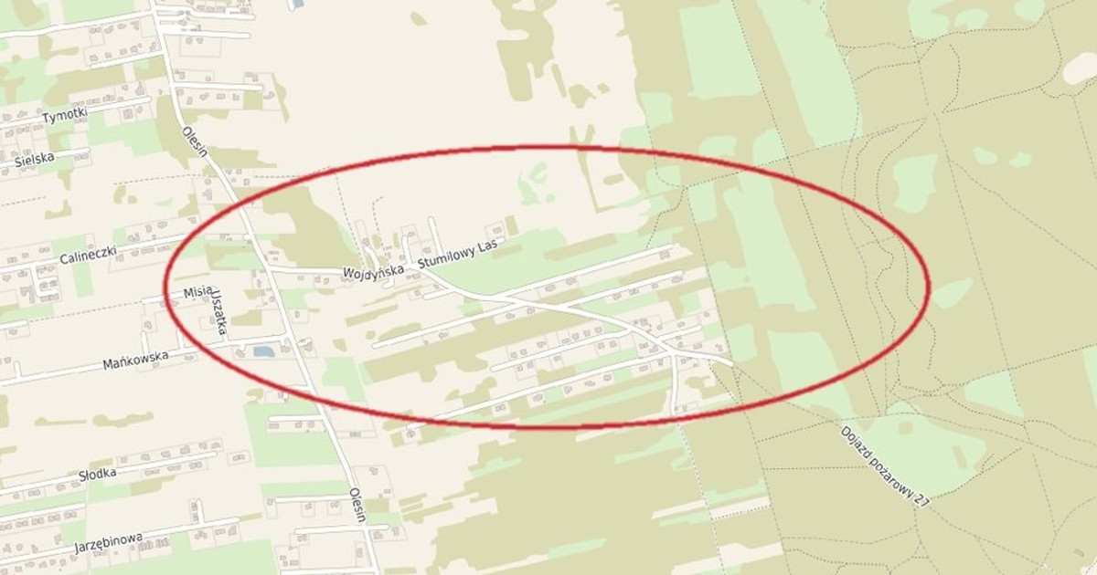 Działka na sprzedaż - Widok 2
