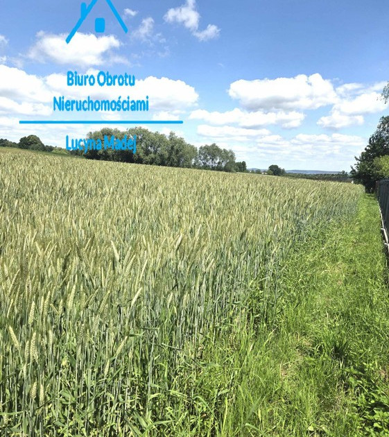 Działka na sprzedaż - Widok 2