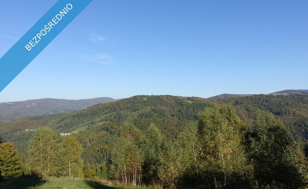 Działka na sprzedaż - Widok 2