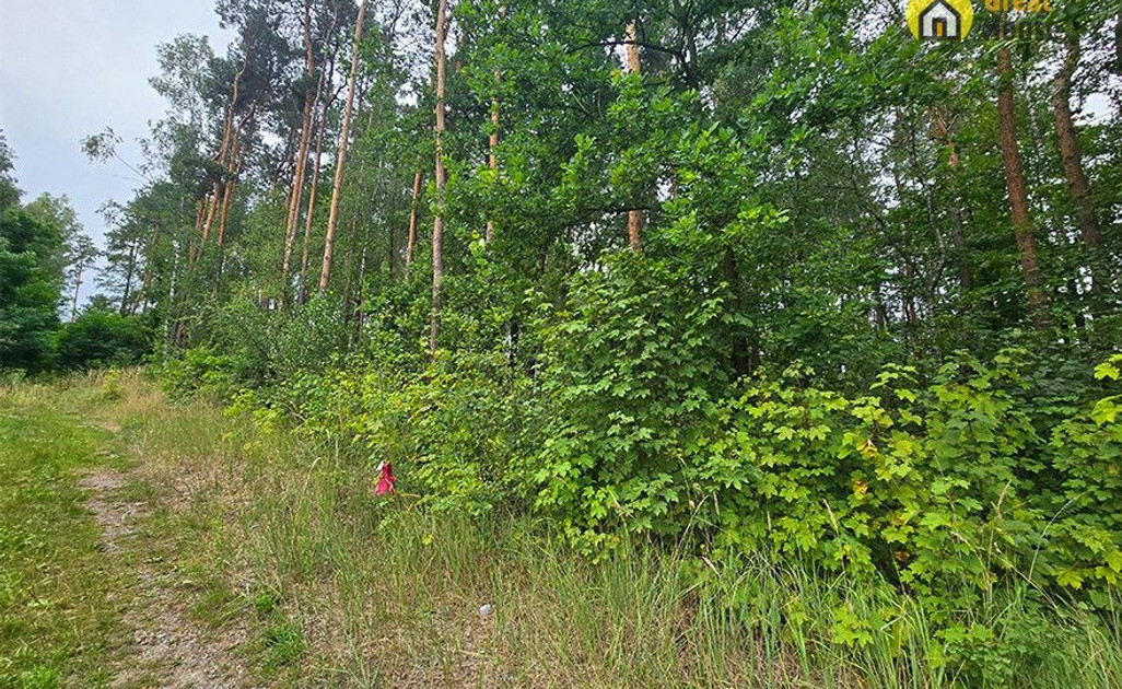 Działka na sprzedaż - Widok 2