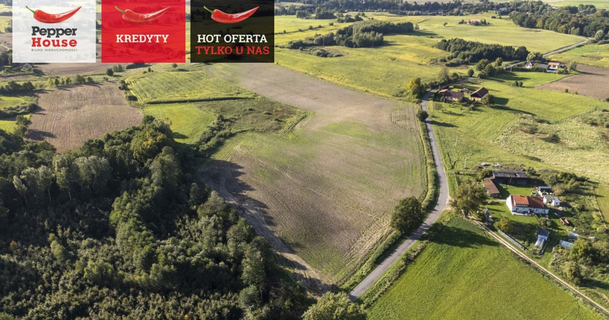 Działka na sprzedaż - Widok 2