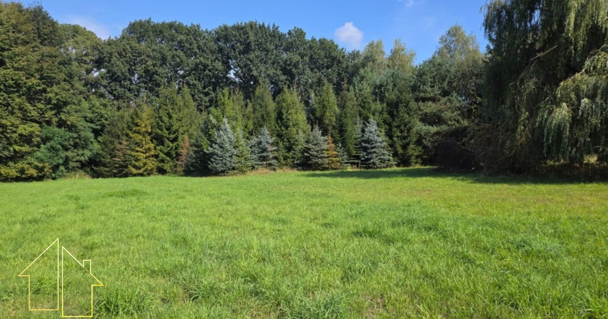 Działka na sprzedaż - Widok 2