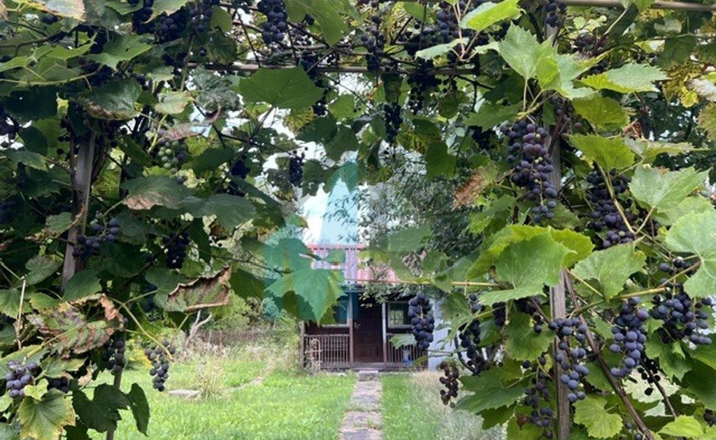 Dom – Łomianki - Widok 2