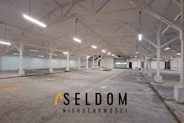 Hala, magazyn na sprzedaż