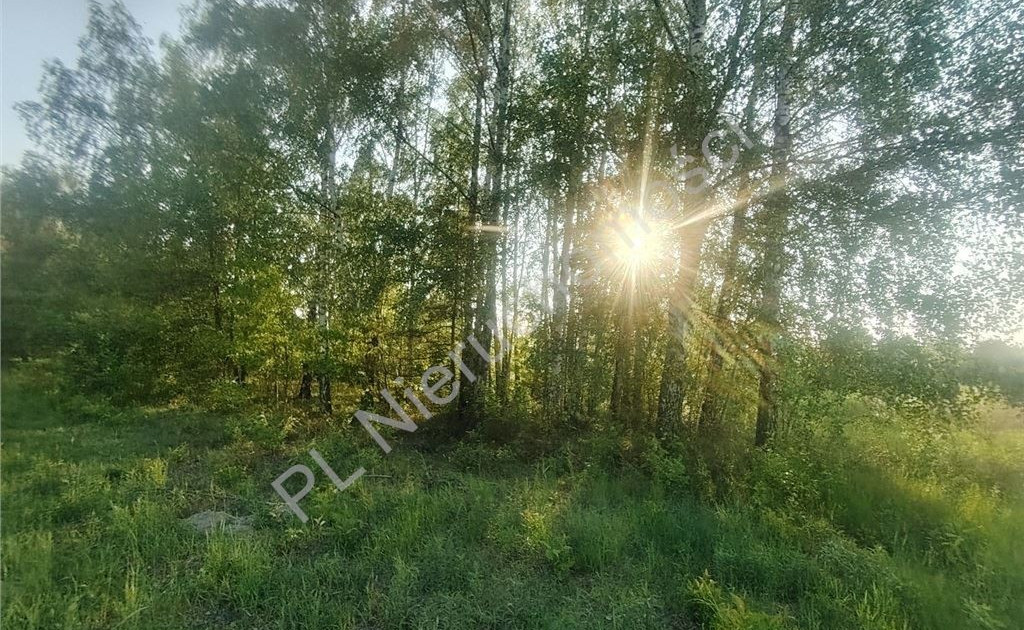 Działka na sprzedaż - Widok 2