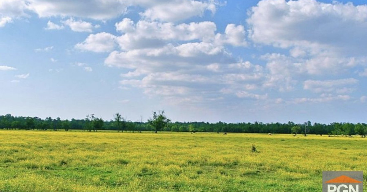 Działka na sprzedaż - Widok 2
