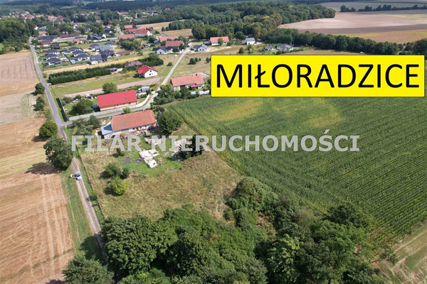 Telek, 1000 m²