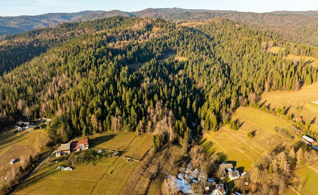 Działka na sprzedaż - Widok 2