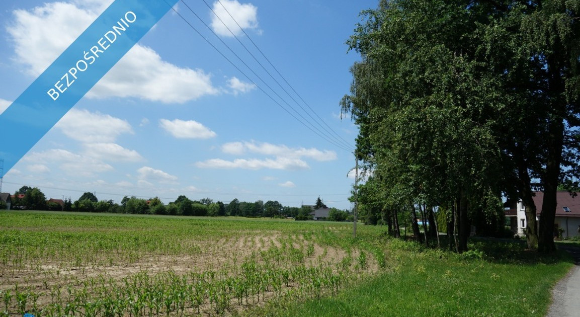 Działka na sprzedaż - Widok 2