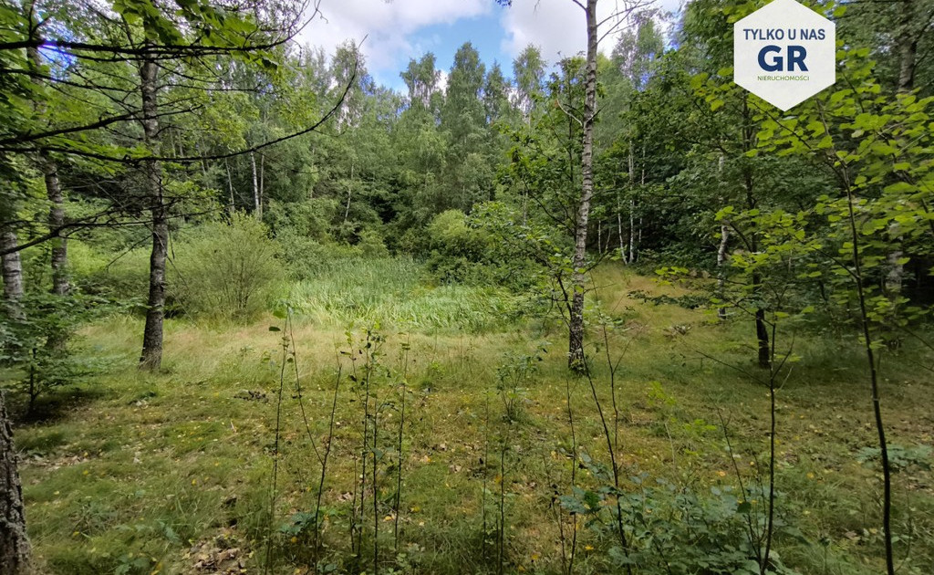 Działka na sprzedaż - Widok 2